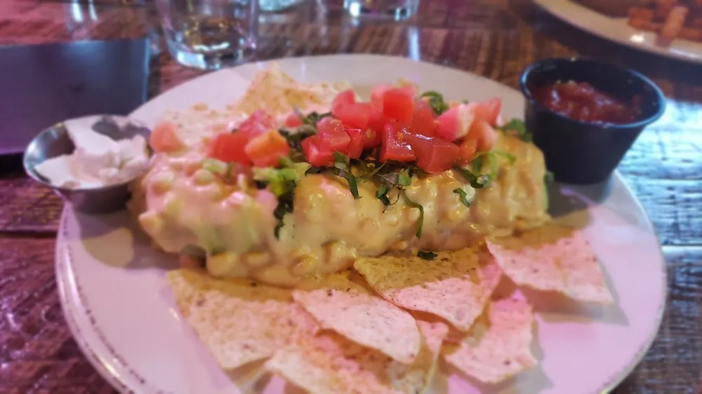 Vegan Wet Burrito
